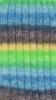 Simple Sock - Self striping 005